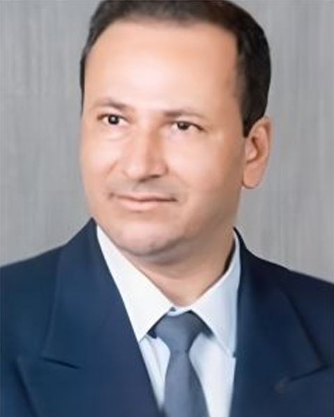 Abdel-Hamid I. Mourad